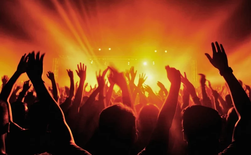 What Should I Do If I was Injured at a Concert in Illinois? 1 People black silhouettes music concert. Injured at a concert